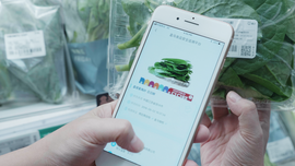 Op smartphone zoeken naar groenten